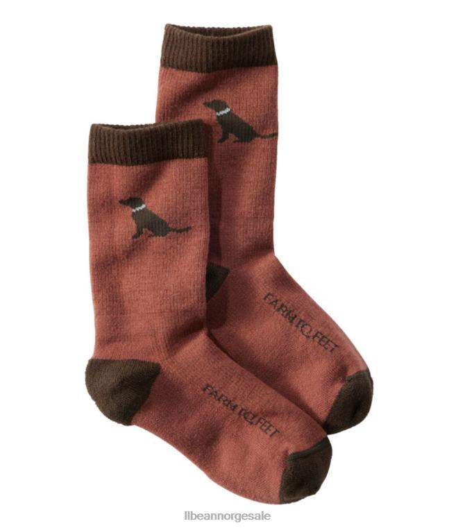 barn farm to feet sunderland crew sokker 24VDH4987 L.L.Bean fottøy sjokolade lab