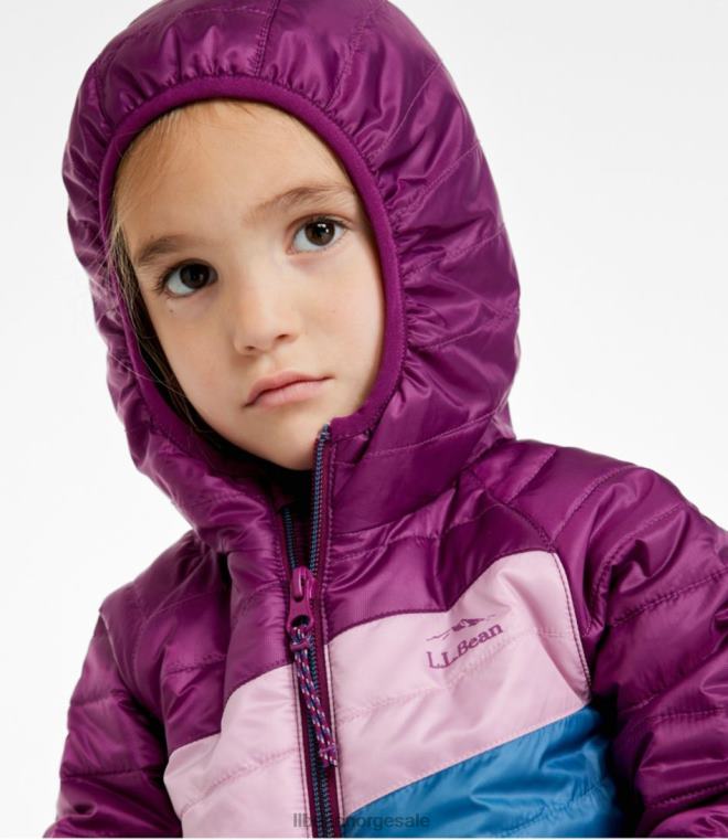 barn primaloft hettejakke 24VDH3694 L.L.Bean yttertøy kollegial blå/plengrønn