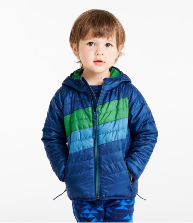 barn primaloft hettejakke 24VDH3694 L.L.Bean yttertøy kollegial blå/plengrønn