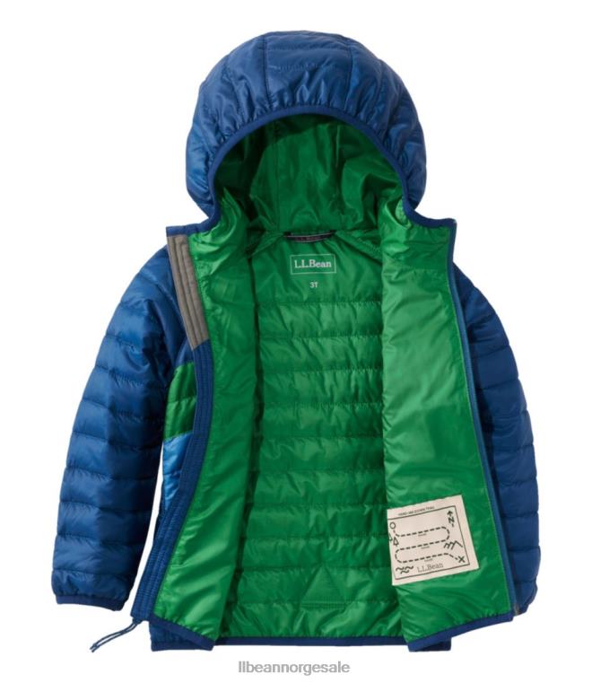 barn primaloft hettejakke 24VDH3694 L.L.Bean yttertøy kollegial blå/plengrønn
