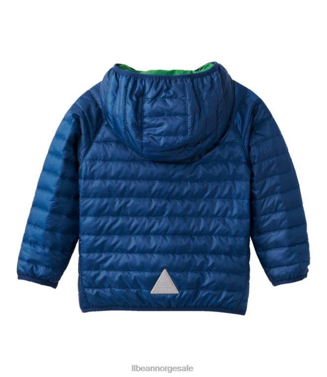 barn primaloft hettejakke 24VDH3694 L.L.Bean yttertøy kollegial blå/plengrønn