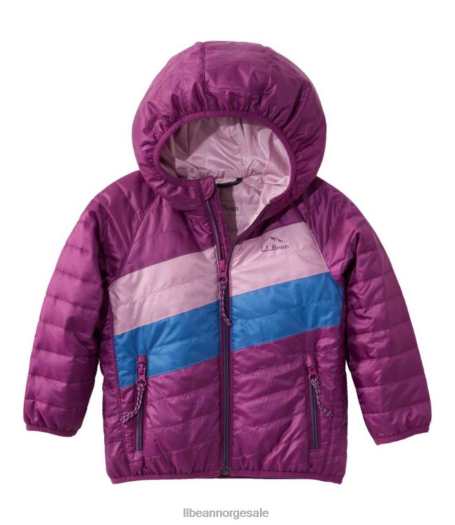 barn primaloft hettejakke 24VDH938 L.L.Bean yttertøy mørk morbær/lys lilla