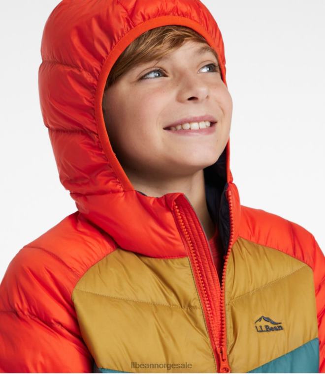 barn ultralett 650 dunjakke 24VDH5146 L.L.Bean yttertøy karbon marine fargeblokk
