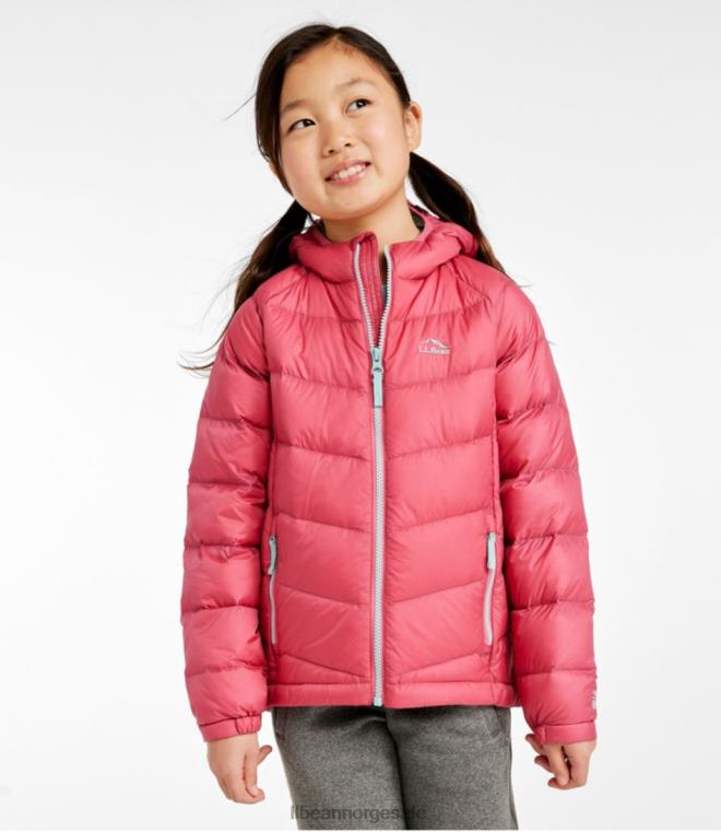 barn ultralett 650 dunjakke 24VDH6079 L.L.Bean yttertøy storm krikkand