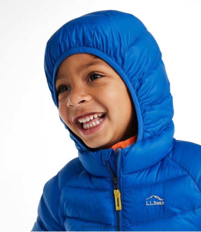 barn ultralett 650 dunjakke for spedbarn og småbarn 24VDH3640 L.L.Bean yttertøy karbon marine