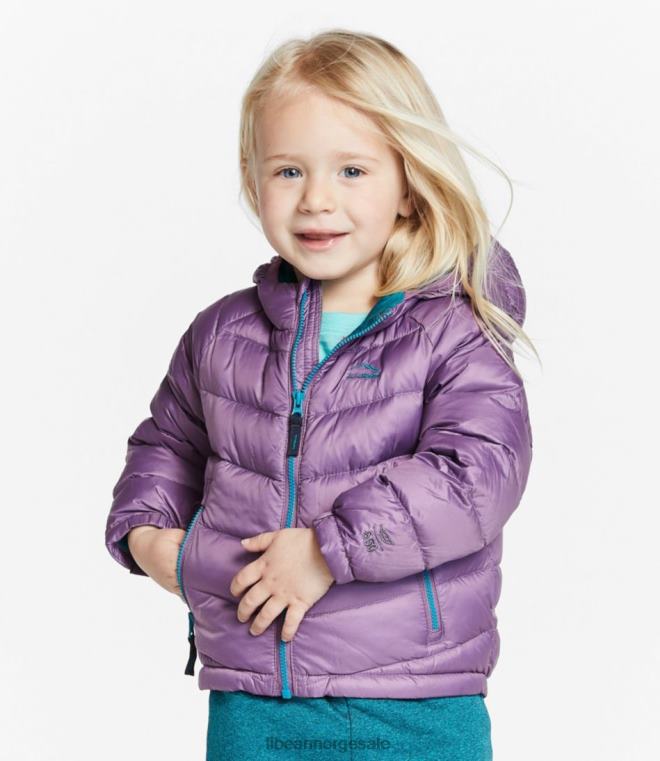 barn ultralett 650 dunjakke for spedbarn og småbarn 24VDH3640 L.L.Bean yttertøy karbon marine