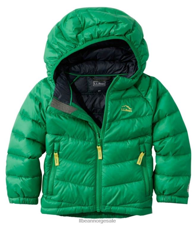 barn ultralett 650 dunjakke for spedbarn og småbarn 24VDH6060 L.L.Bean yttertøy kelly grønn
