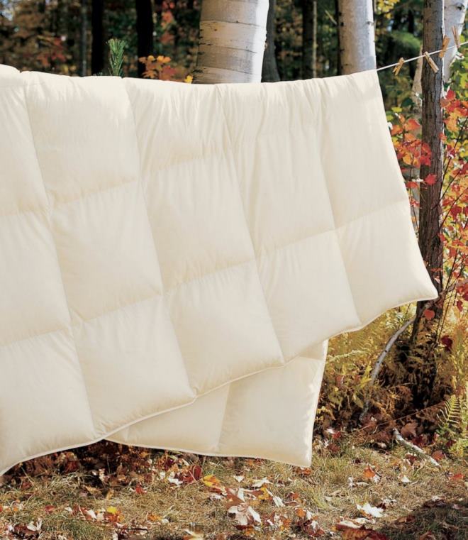 unisex boksøm gåsedundyne 24VDH2833 L.L.Bean bedding krem
