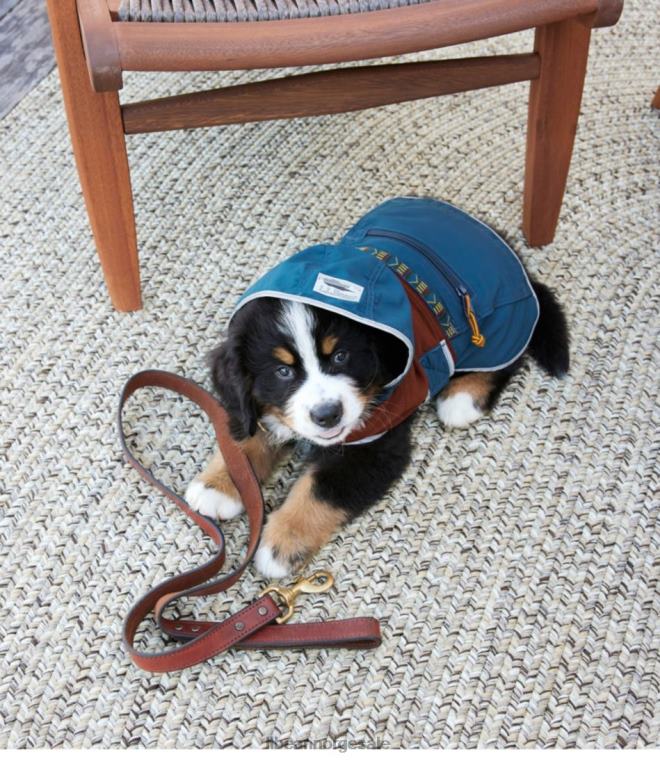 unisex fjell klassisk hund anorakk fargeblokk 24VDH1638 L.L.Bean hjem varer mørk marineblå