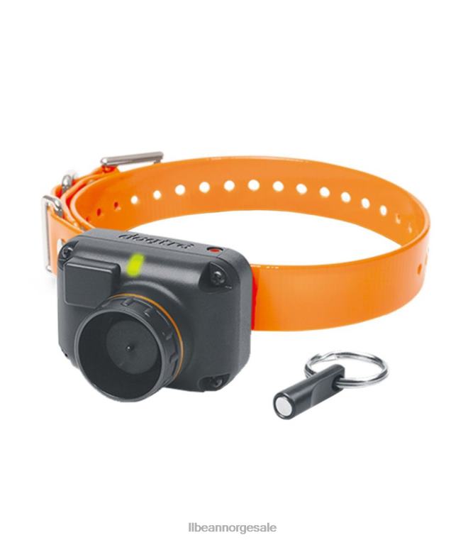 unisex dogtra stb beeper krage 24VDH2189 L.L.Bean hjem varer hunter orange