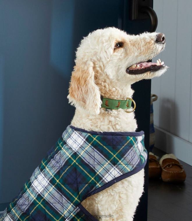 unisex nyhet hundehalsbånd 24VDH5308 L.L.Bean hjem varer katahdin