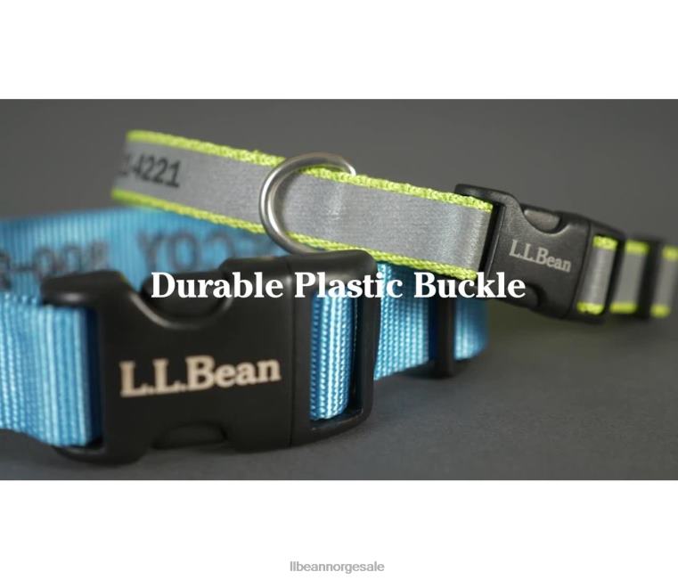 unisex personlig reflekterende kjæledyrhalsbånd 24VDH1405 L.L.Bean hjem varer lime