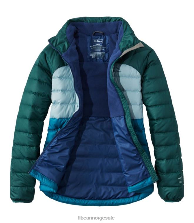 kvinner dunjakke 24VDH896 L.L.Bean yttertøy svart/taupebrun
