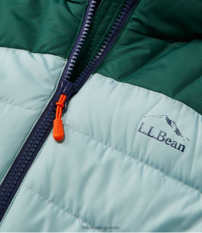 kvinner dunjakke med hette 24VDH3623 L.L.Bean yttertøy nautisk marine/lys bronse