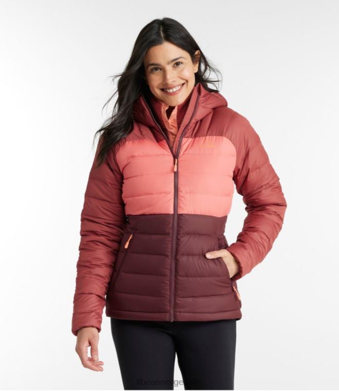 kvinner dunjakke med hette 24VDH5093 L.L.Bean yttertøy nautisk marine/sukkerplomme