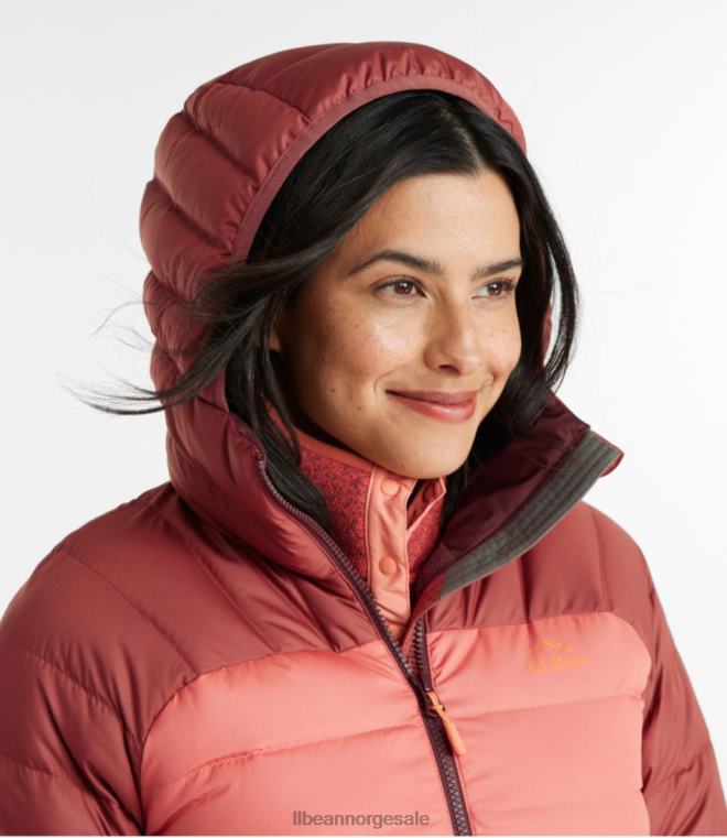kvinner dunjakke med hette 24VDH5093 L.L.Bean yttertøy nautisk marine/sukkerplomme