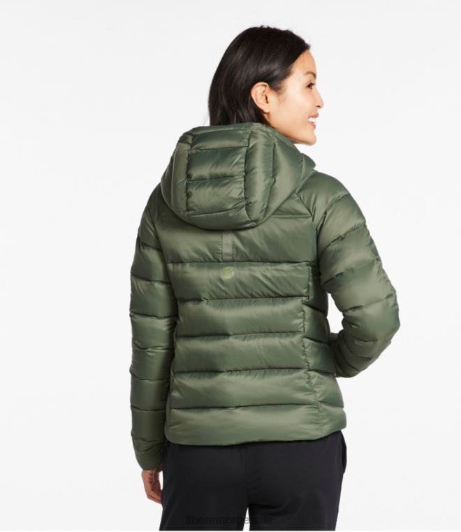 kvinner grenseløs dunjakke 24VDH5084 L.L.Bean yttertøy strandsand