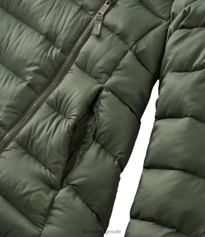 kvinner grenseløs dunjakke 24VDH6673 L.L.Bean yttertøy timian