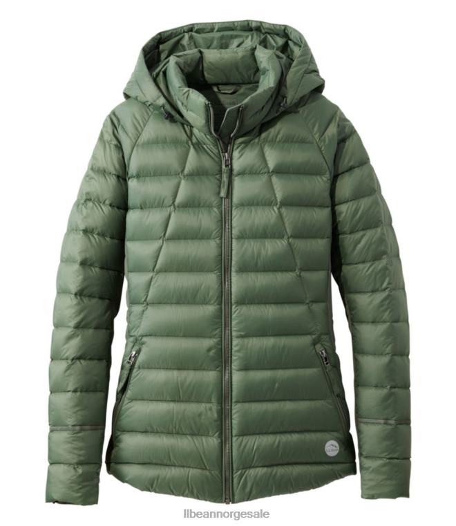 kvinner grenseløs hybrid dunjakke 24VDH3646 L.L.Bean yttertøy timian