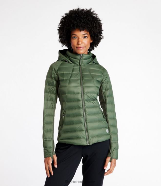 kvinner grenseløs hybrid dunjakke 24VDH3646 L.L.Bean yttertøy timian