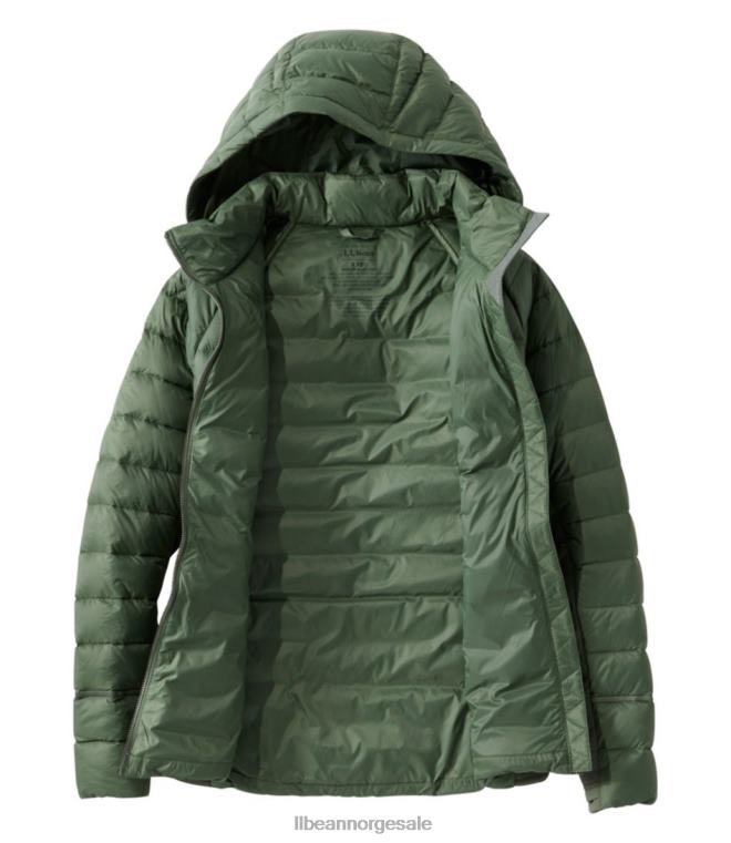 kvinner grenseløs hybrid dunjakke 24VDH881 L.L.Bean yttertøy Mørk sort