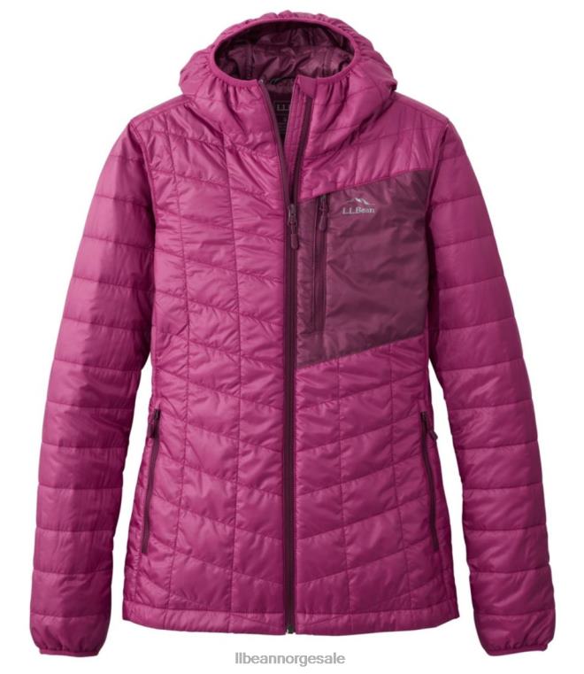 kvinner primaloft packaway hettejakke 24VDH7043 L.L.Bean yttertøy sukkerplomme/brambær