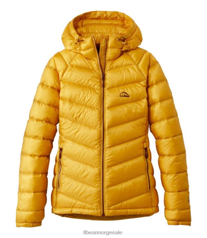 kvinner ultralett 850 dunjakke med hette 24VDH3608 L.L.Bean yttertøy felt gull