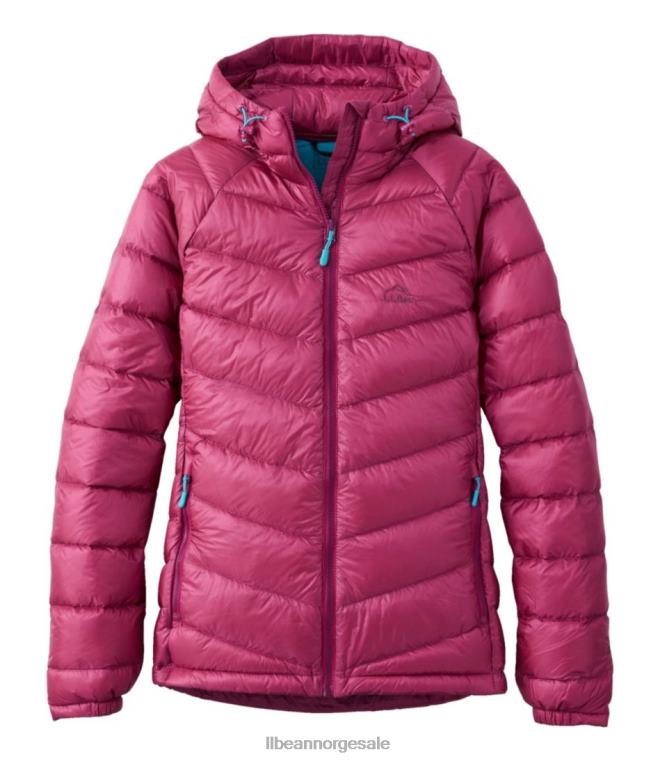 kvinner ultralett 850 dunjakke med hette 24VDH842 L.L.Bean yttertøy sukkerplomme