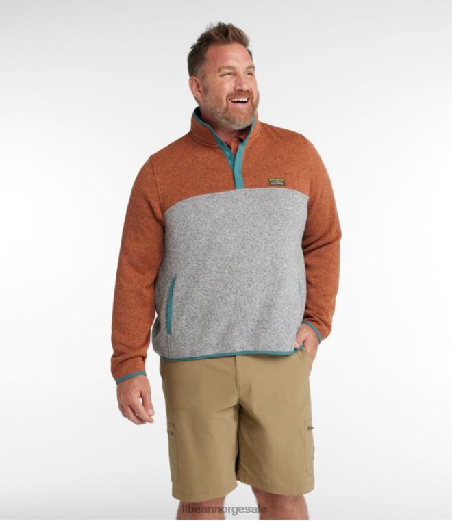 menn genser fleece genser 24VDH5110 L.L.Bean klær lys everglade/rangeleyblå