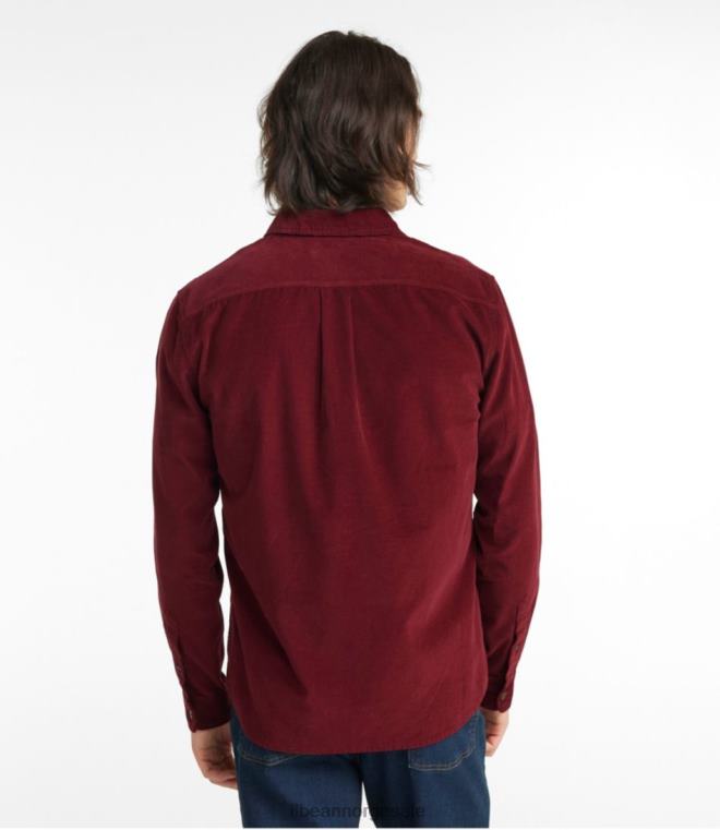 menn signatur microwale cordfløyelskjorte 24VDH544 L.L.Bean klær buff gul