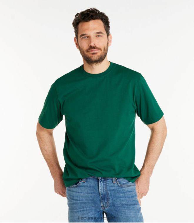 menn bekymringsløs unshrinkable t-skjorte 24VDH4580 L.L.Bean klær grå lyng