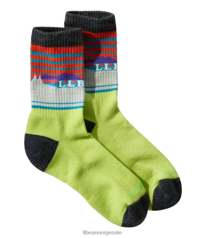 menn katahdin tursokker 24VDH178 L.L.Bean tilbehør skogsbregne/grålyng