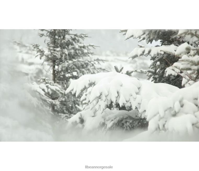 menn baxter state parka 24VDH6057 L.L.Bean yttertøy kulllyng