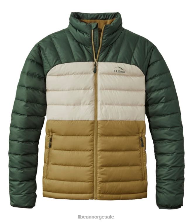 menn dunjakke 24VDH5133 L.L.Bean yttertøy tretthetsgrønn/dyp balsam