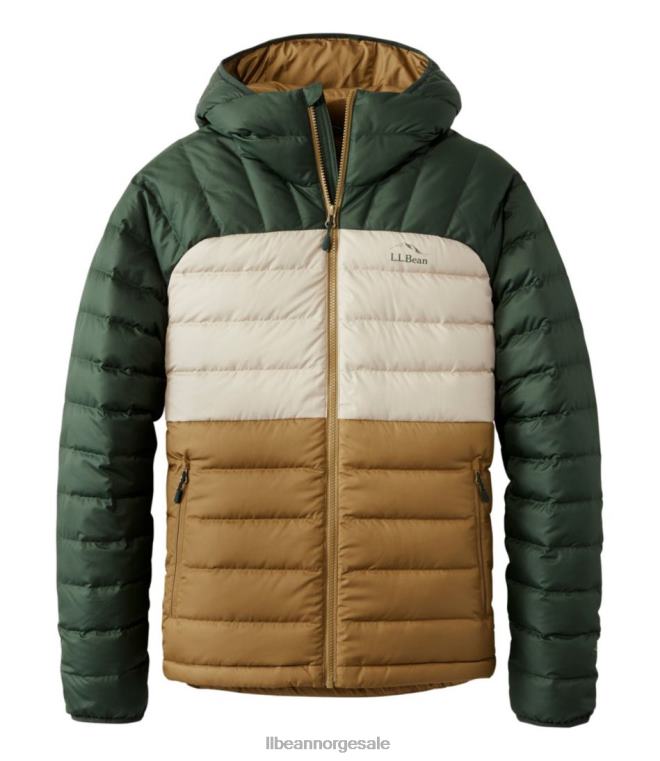 menn dunjakke med hette 24VDH5130 L.L.Bean yttertøy tretthetsgrønn/dyp balsam