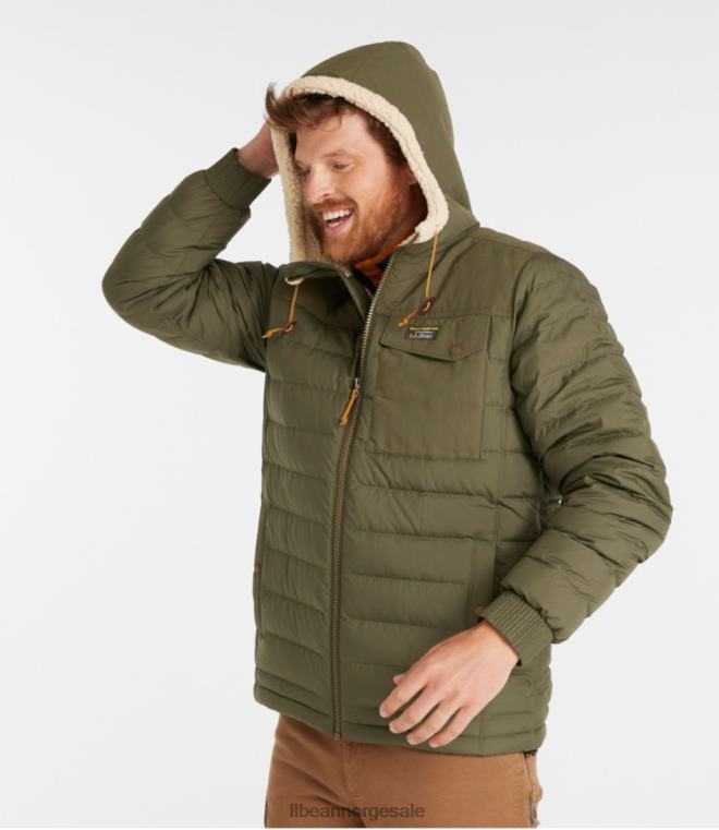 menn fjell klassisk dunjakke med hette 24VDH3549 L.L.Bean yttertøy tare grønn