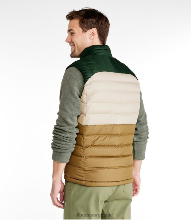 menn dunvest 24VDH639 L.L.Bean yttertøy tretthetsgrønn/dyp balsam
