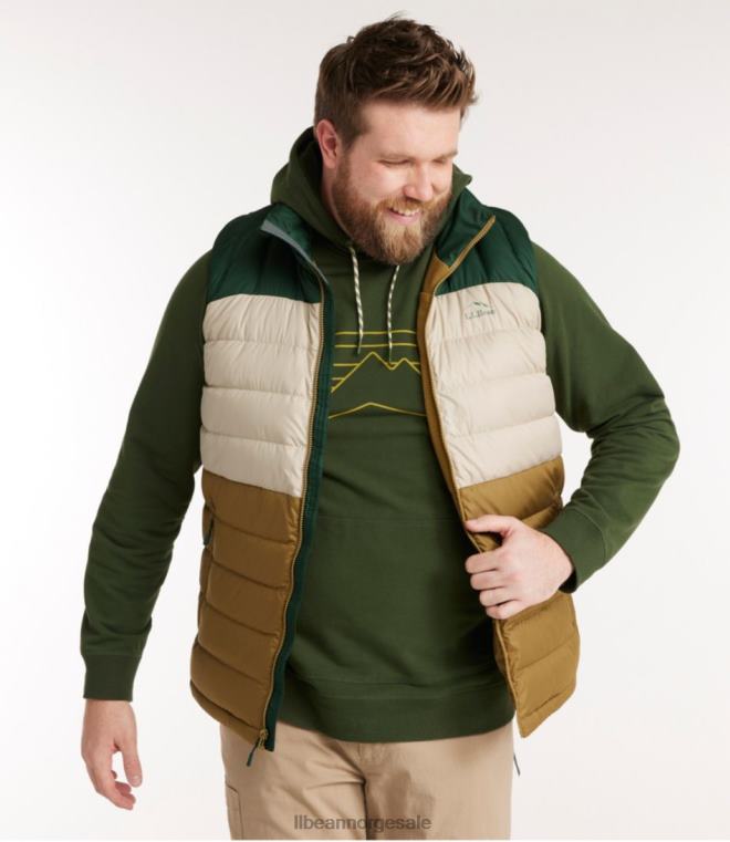 menn dunvest 24VDH639 L.L.Bean yttertøy tretthetsgrønn/dyp balsam