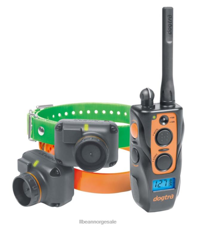 unisex dogtra 2702 trening og beeper krage 24VDH2242 L.L.Bean utendørs utstyr svart