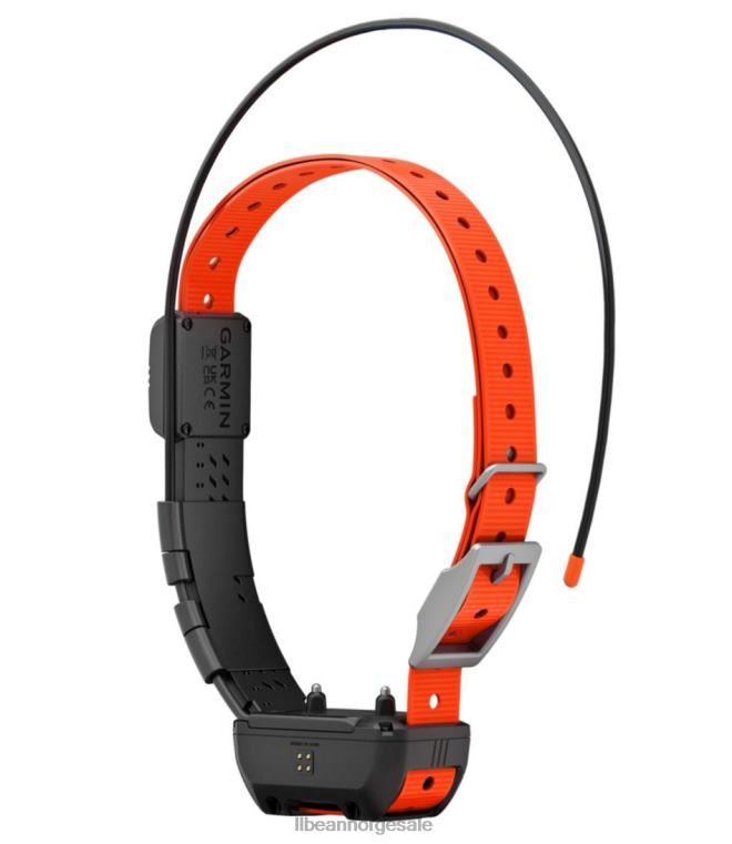 unisex garmin alpha tt25 hundehalsbånd 24VDH2107 L.L.Bean utendørs utstyr svart/oransje