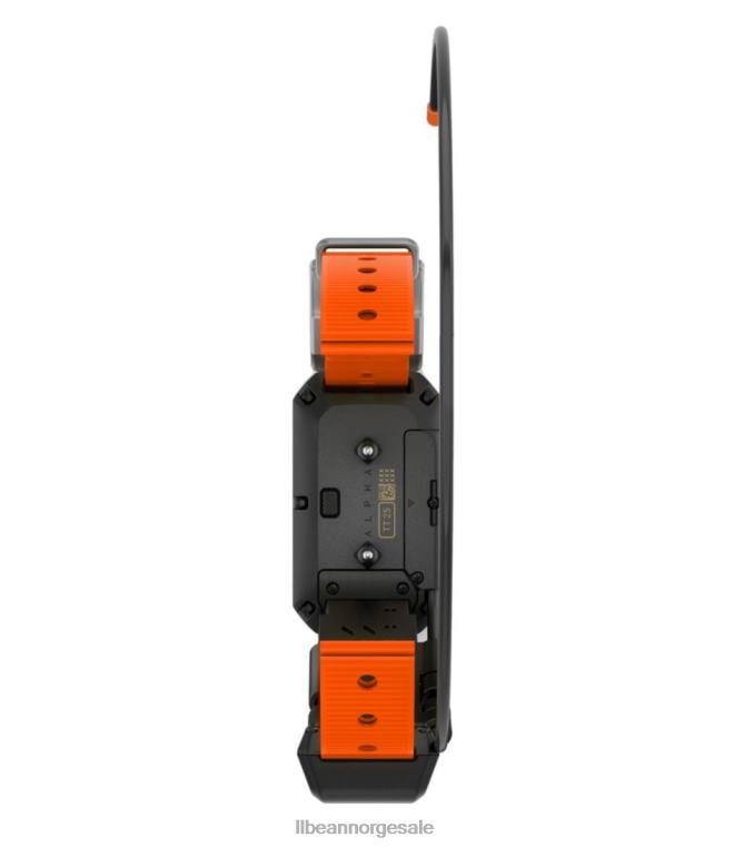 unisex garmin alpha tt25 hundehalsbånd 24VDH2107 L.L.Bean utendørs utstyr svart/oransje