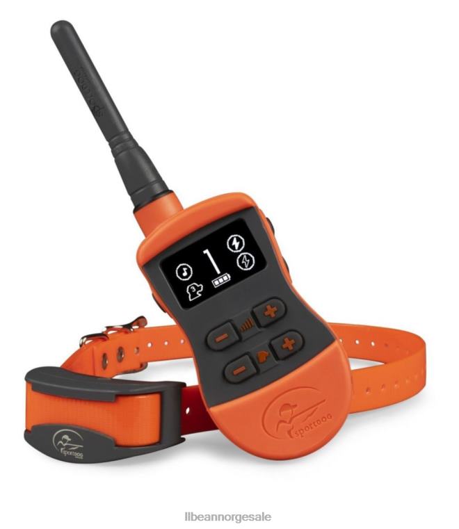 unisex sportdog merke sport trener 875 24VDH1824 L.L.Bean utendørs utstyr hunter orange