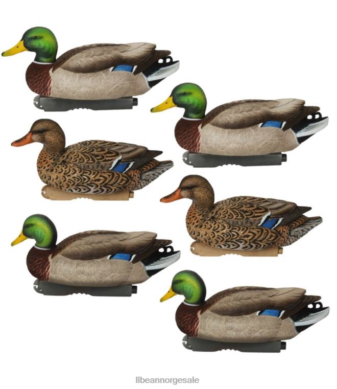 unisex avery pro-grade lokkefugler 6-pack 24VDH2269 L.L.Bean utendørs utstyr stokkand