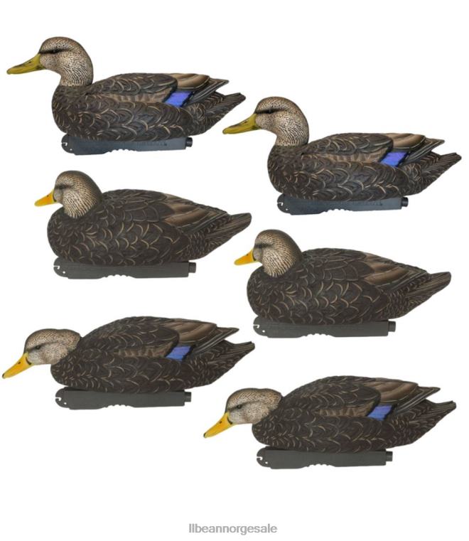 unisex avery pro-grade lokkefugler 6-pack 24VDH2307 L.L.Bean utendørs utstyr svart and