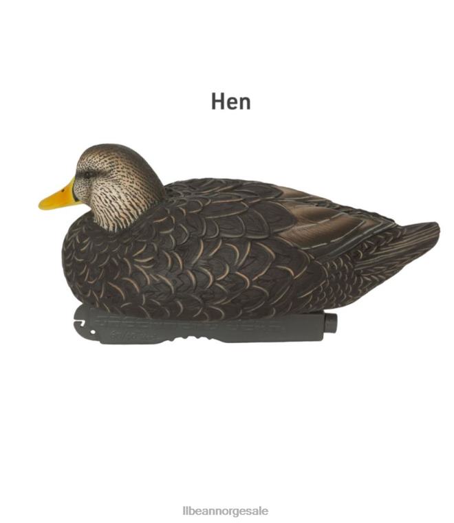 unisex avery pro-grade lokkefugler 6-pack 24VDH2307 L.L.Bean utendørs utstyr svart and