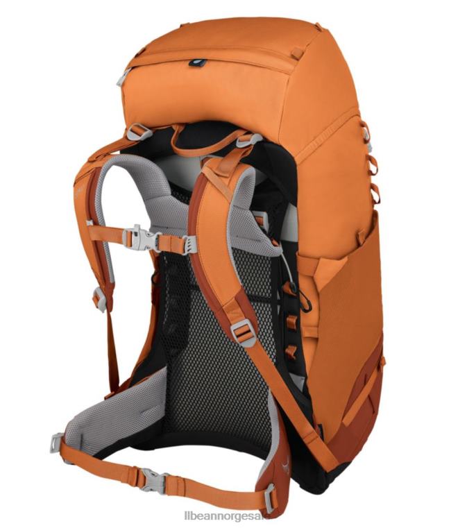 unisex Osprey ace 38 pakke 24VDH1664 L.L.Bean utendørs utstyr solnedgang oransje