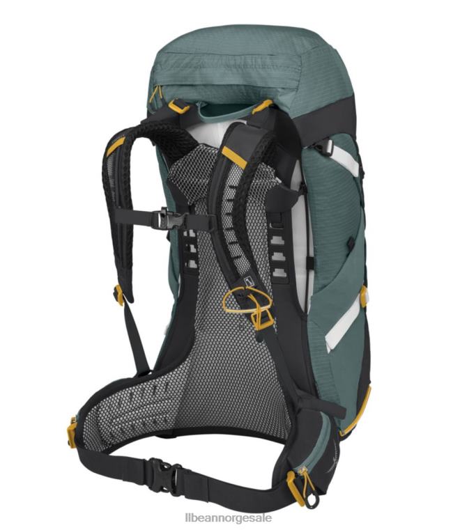 unisex Osprey sirrus 36 liters pakke 24VDH2441 L.L.Bean utendørs utstyr saftig grønn