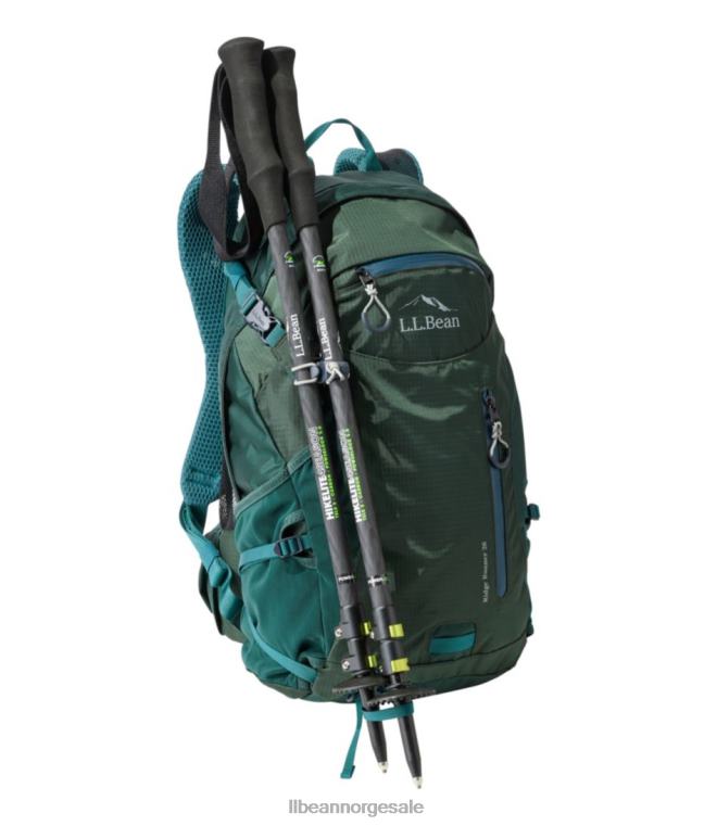 unisex hikelite fire-sesongs karbon turstaver 24VDH1610 L.L.Bean utendørs utstyr karbon matt/grønn gjennomsiktig