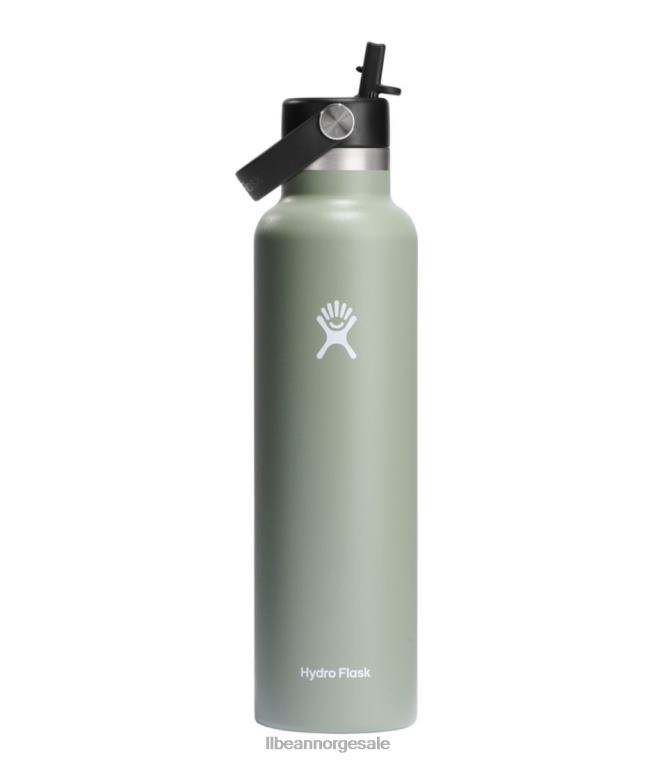 unisex hydroflaske standard munnvannsflaske med flex stråhette 24VDH7081 L.L.Bean utendørs tilbehør agave