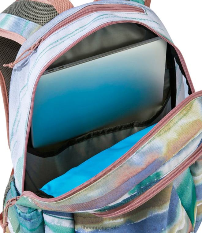 unisex utskrift av en bærbar PC-pakke 24VDH2413 L.L.Bean tilbehør guide gull klippe